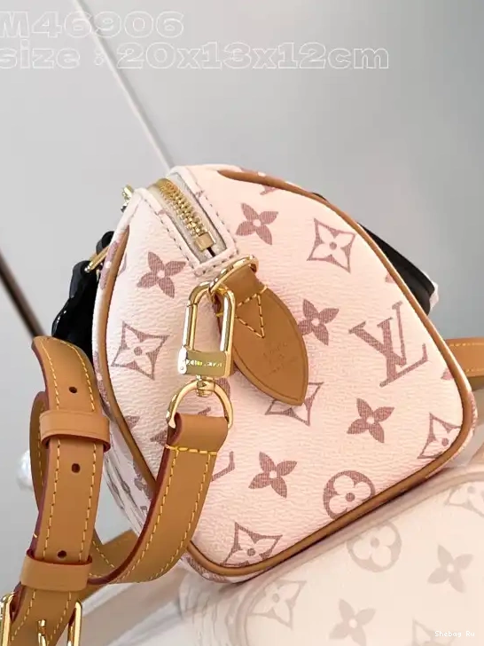 LOUIS BANDOULIÈRE 20 VUITTON SPEEDY 0605